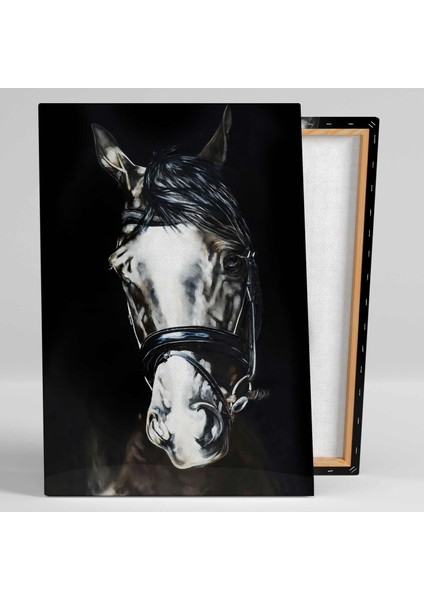 Karanlığın Içerisindeki Beyaz Asil At Horse Hayvan Kanvas Tablo