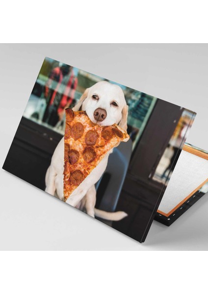 Pizzi Dilimi Yiyen Şirin Golden Köpek Fast Food Pizzacı Kanvas Tablo
