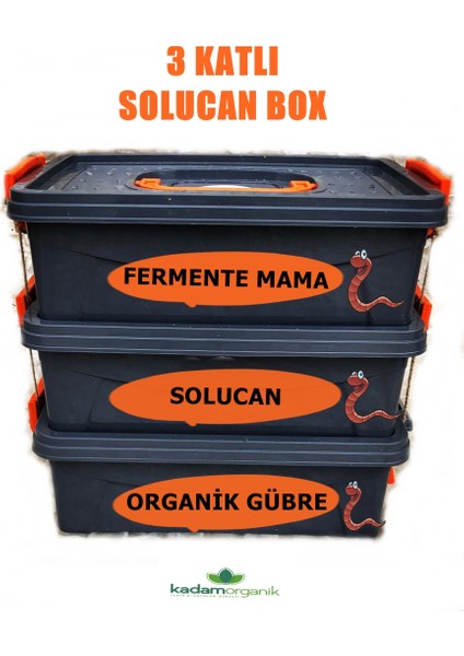 Kadamorganik 3 Katlı Solucan Evi (Solucan Box) 1000 Adet Kırmızı Kaliforniya Solucanı