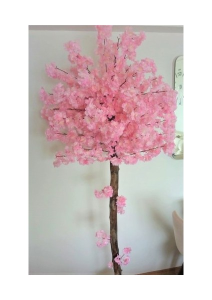 Pembe Bahardalı Ağacı 1.90 Metre Boyunda Saksıda Pembe Yaz Ağacı Çiçek Bitki