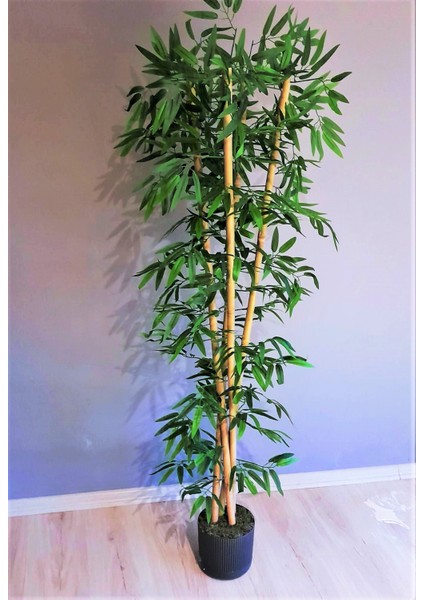 Yapay Bambu Ağacı 1.60 mt Boy 4 Adet Orjinal Bamboo Gövdeli Ağaç