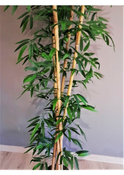 Yapay Bambu Ağacı 1.60 mt Boy 4 Adet Orjinal Bamboo Gövdeli Ağaç