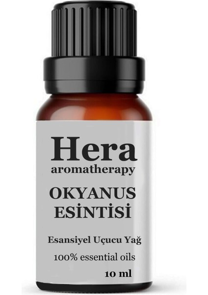 Okyanus Esintisi-Mum-Oda Kokusu-Kokulu Taş-Sabun-Dezenfektan ve Genel Kullanım Esansı 10 ml
