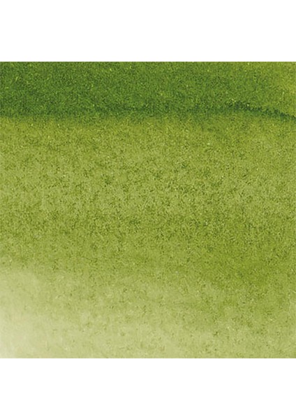 Promarker Watercolour Sap Green 599 fiyatları