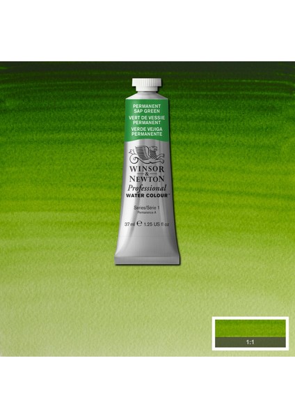 Professional Sulu Boya 37ML Permanent Sap Green 503 S.1