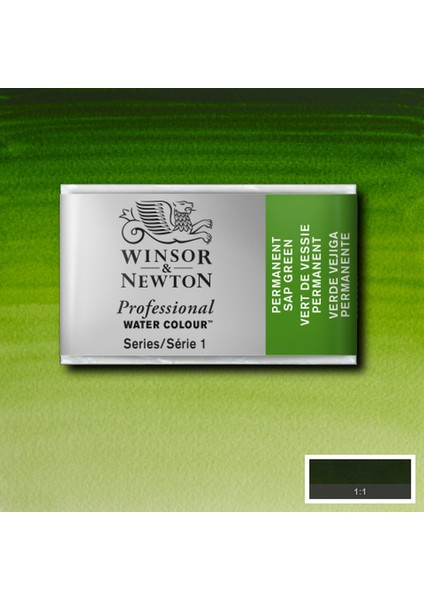 Professional Sulu Boya Tam Tablet Permanent Sap Green 503 S.1