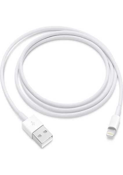 Apple Usb-C Lıghtnıng Kablo 1 Metre Şarj Kablosu