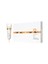 Moisture Plus Lotion 6X12 ml 1