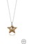 Crystal Kadın Star Light Colorado Gümüş Kolye 1