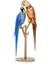 5619218 Swarovski Biblo Jungle Beats:parrot Couple 1