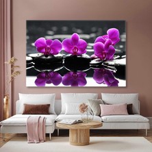 SML Tablo Zen Taşları Pembe Orkide Denge Spa Masaj Merkezi Kanvas Tablo