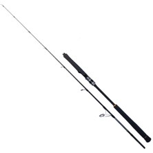 Ryuji Seawolf 1.83M 200-400GR 2p Jig Olta Kamışı