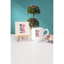 Hedizu Ablaya Hediye Canım Ablam Oval Kupa Bardak Dekoratif Taş