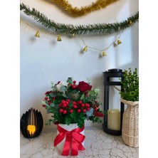 Eloza Floral Art Ithal Kokina,  Gül, Okaliptus ile Kuru Haşhaş ve Pamukla Tasarlanan Vazo Arajmanı