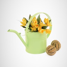 Garten Zink Çiçek Sulama Kabı Ella Metal Sulak 1 Litre