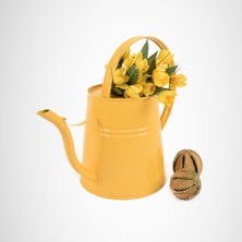 Garten Zink Çiçek Sulama Kabı Sophia Metal Sulak 2 Litre