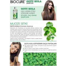 Biocure Saç Gotu Kola Bitkisel Şampuan ZayıfDökülen Saçlara 10 Bitki 4 Vitamin