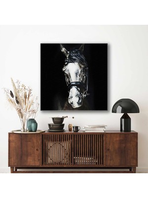 SML Tablo Karanlığın Içerisindeki Beyaz Asil At Horse Hayvan Kanvas Tablo