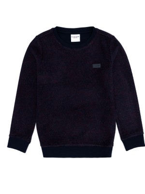 U.S. Polo Assn. Erkek Çocuk Lacivert Sweatshirt 50256388-VR033