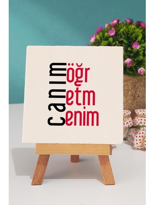 Hedizu Öğretmene Hediye Canım Öğretmenim Dekoratif Taş Baskı