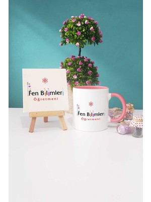 Hedizu Fen Bilimleri Öğretmeni Hediye Pembe Kupa Bardak Dekoratif Taş