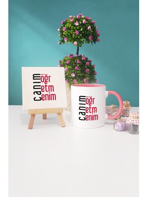 Hedizu Öğretmene Hediye Canım Öğretmenim Pembe Kupa Bardak Dekoratif Taş