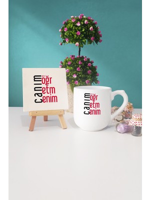 Hedizu Öğretmene Hediye Canım Öğretmenim Oval Kupa Bardak Dekoratif Taş