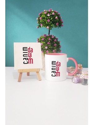 Hedizu Dayıya Hediye Canım Dayım Pembe Kupa Bardak Dekoratif Taş