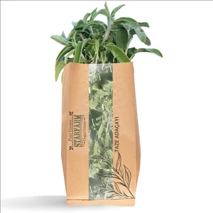 Starfarm Doğal Ürünler Organik Adaçayı (Günlük Taze Kesim) 60 gr