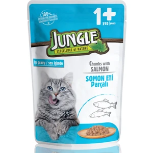1 Adet Kedi Somonlu 100 G Pouch SKT:09/2024