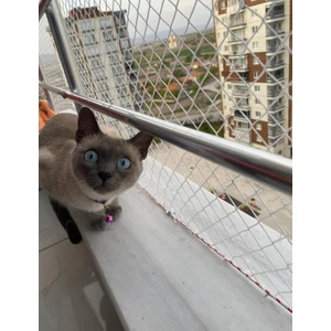 Kedi Filesi 1,5X3M Kedi Koruma Filesi Kuş Filesi Kuş Önleme Filesi Güvenlik Filesi
