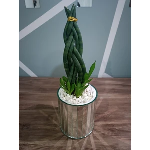 Beq Home Ayna Vazo Gümüş Şık Dekorasyon Yuvarlak 15 cm Vazo