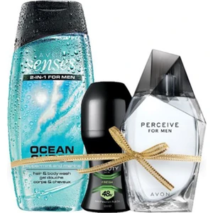 Perceive Erkek Parfüm Seti