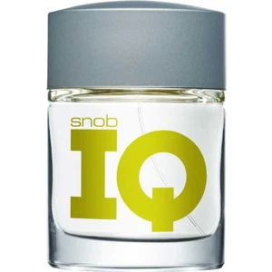 Erkek Parfüm Edt Iq 100 ml