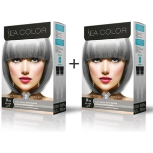 Sea Color 0.01 Füme Gri Boya 2'Li Set