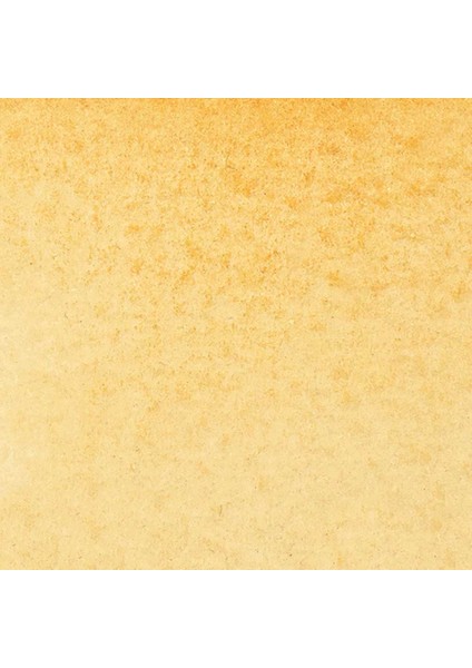 Promarker Watercolour Raw Sienna 552 fiyatları