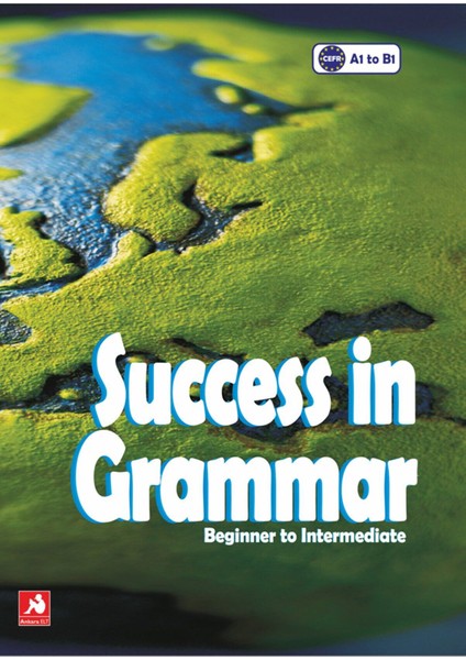 Success In Grammar