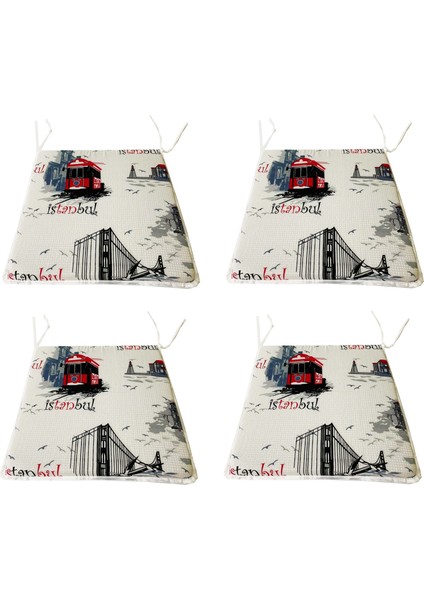 Sandalye Minderi Eko 4 Adet Bağcıklı Bahçe Minderi (Istanbul)Yıkanabilir