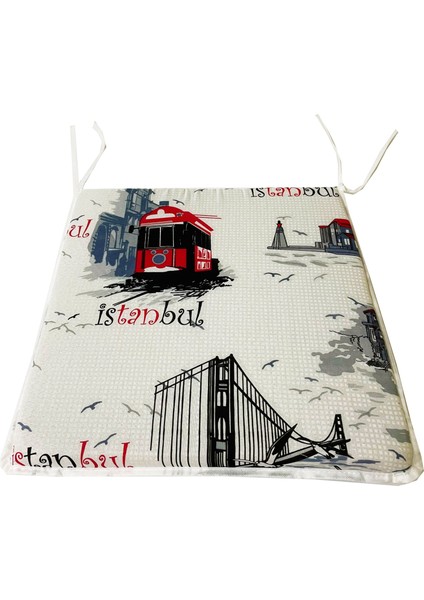 Sandalye Minderi Eko 4 Adet Bağcıklı Bahçe Minderi (Istanbul)Yıkanabilir fiyatları