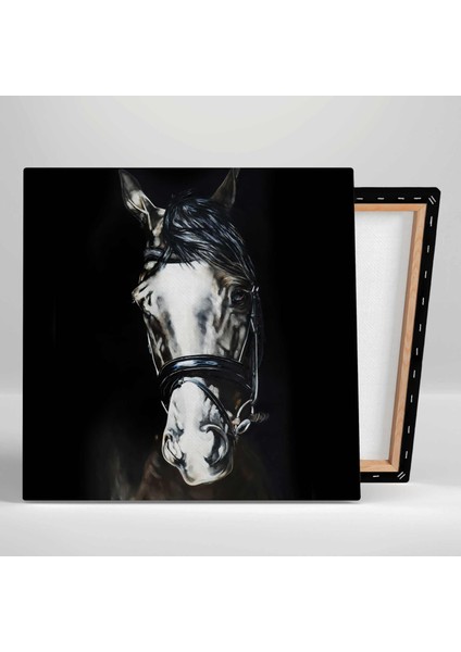 Karanlığın Içerisindeki Beyaz Asil At Horse Hayvan Kanvas Tablo