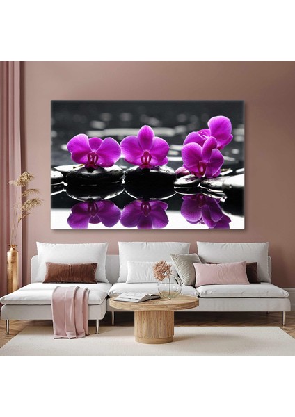 Zen Taşları Pembe Orkide Denge Spa Masaj Merkezi Kanvas Tablo