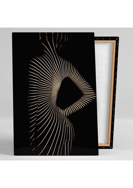 Güneş Yansıması Gölge Zebra Kadın Kanvas Tablo fiyatları