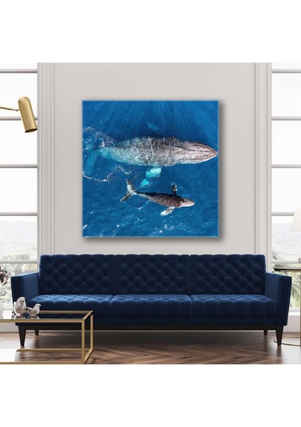 Büyük Balina ve Yavrusu Mavi Okyanus Suları Kanvas Tablo