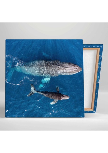 Büyük Balina ve Yavrusu Mavi Okyanus Suları Kanvas Tablo fiyatları