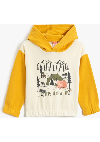 Ayıcık Baskılı Kapşonlu Sweatshirt Renk Kontrastlı Manşetleri ve Beli Lastikli