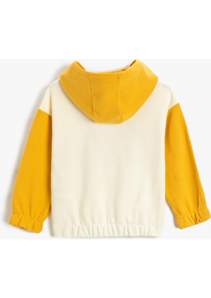 Ayıcık Baskılı Kapşonlu Sweatshirt Renk Kontrastlı Manşetleri ve Beli Lastikli fiyatları