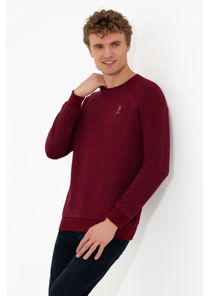 Erkek Vişne Sweatshirt 50256356-VR223 modelleri