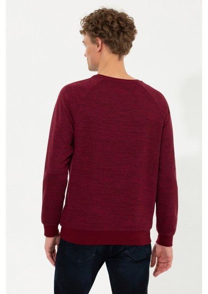 Erkek Vişne Sweatshirt 50256356-VR223 indirimleri