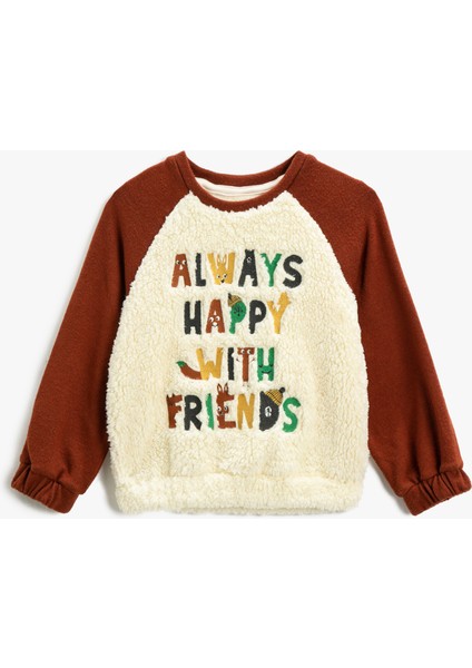 Peluş Triko Detaylı Sweatshirt Işlemeli