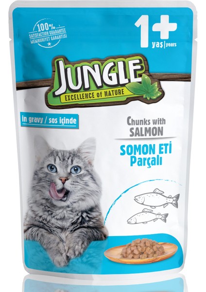 1 Adet Kedi Somonlu 100 G Pouch SKT:09/2024
